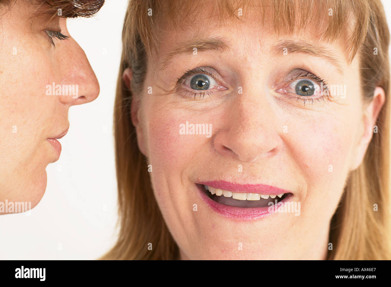Two business women hi-res stock photography and images - Alamy