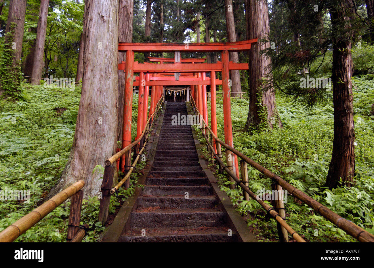Red torii gates at Chuson Ji Temple in Hiraizumi Japan Stock Photo