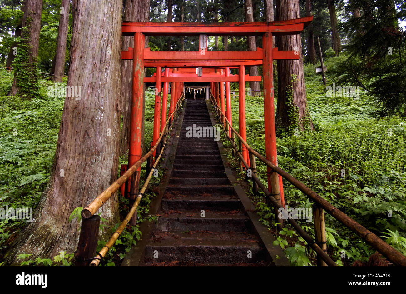 Red torii gates at Chuson Ji Temple in Hiraizumi Japan 2004 Stock Photo