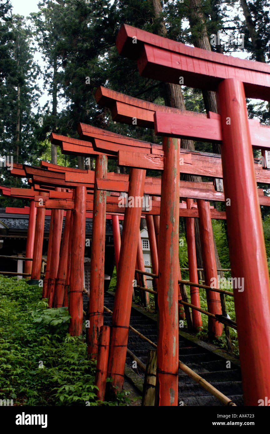 Red torii gates at Chuson Ji Temple in Hiraizumi Japan Stock Photo