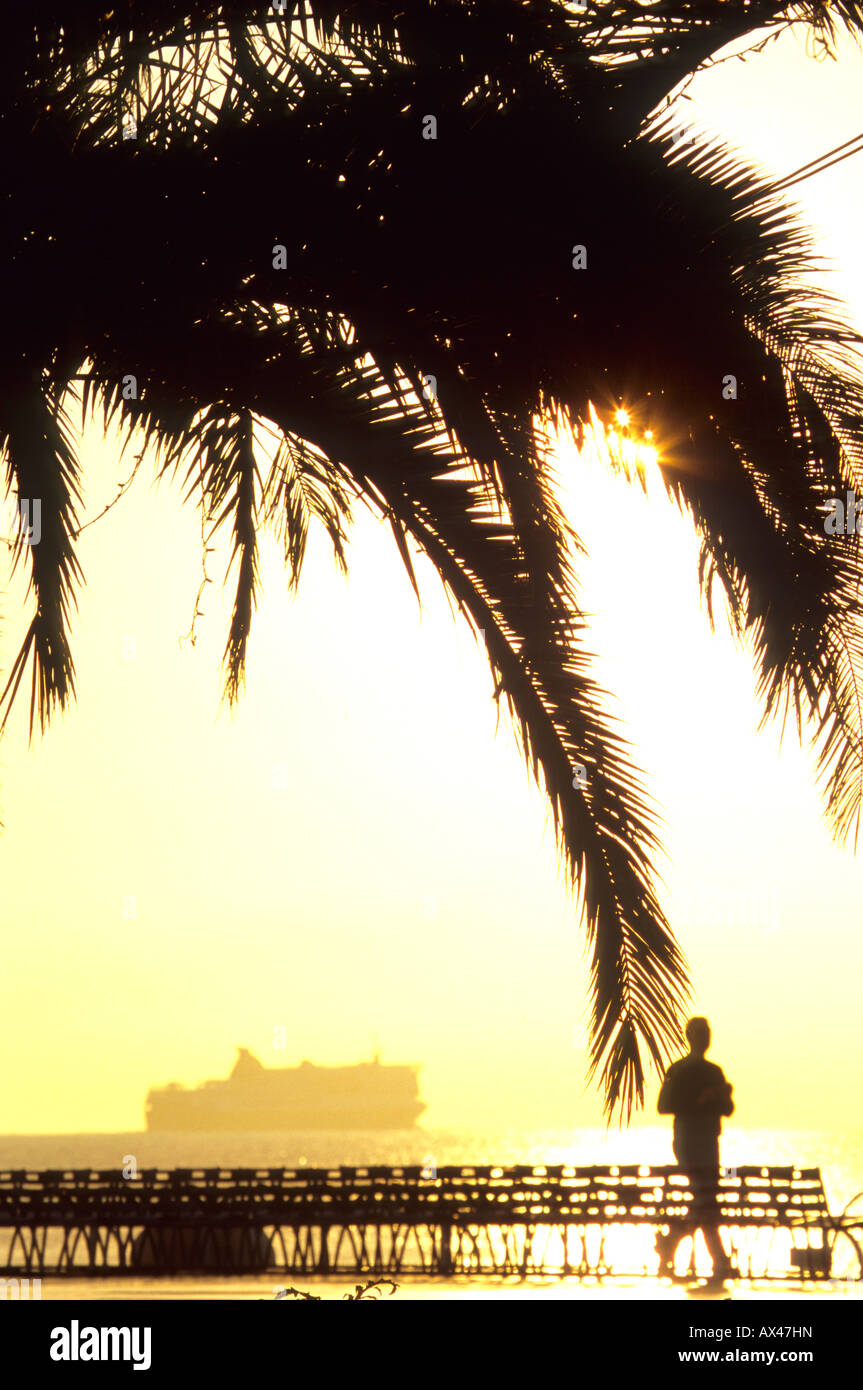 Jogger on the Promenade des Anglais Nice Alpes-MAritimes 06 cote d'azur French Riviera Paca France Europe Stock Photo