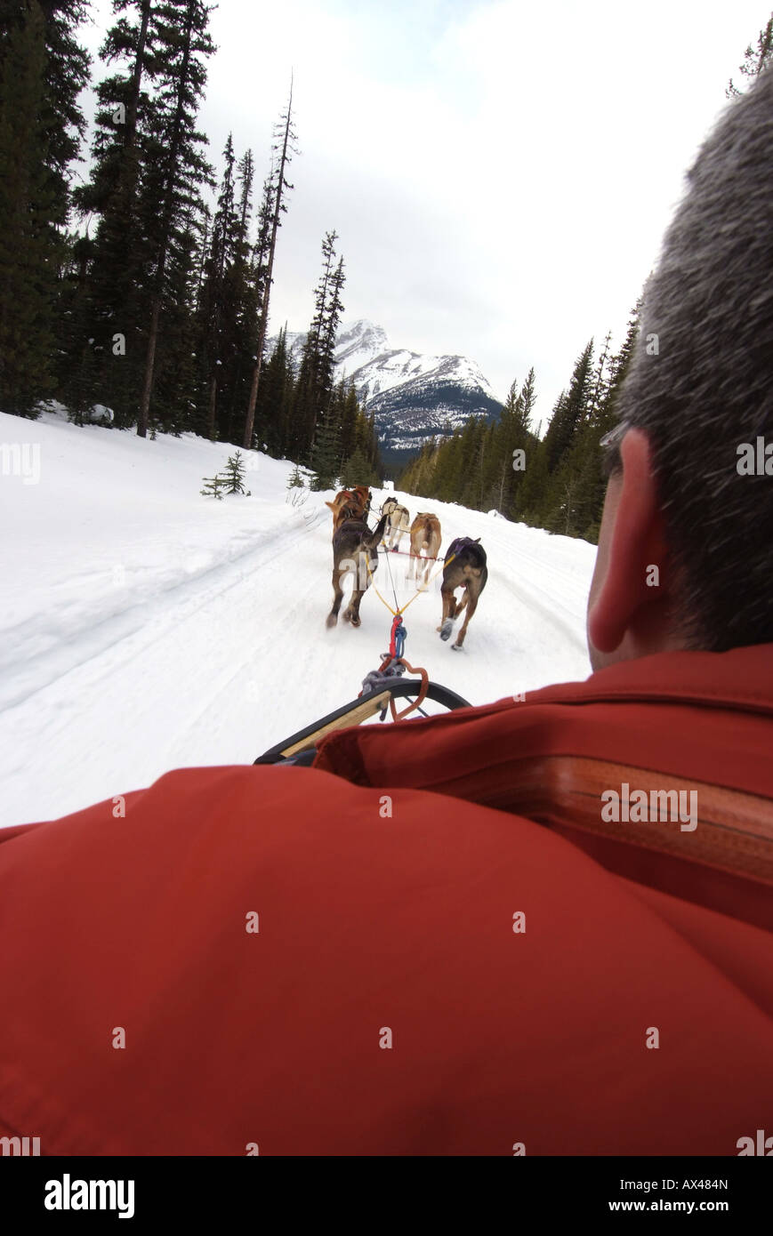 CANADA Alberta Banff Banff National Park Lake Louise Dog sledding rides