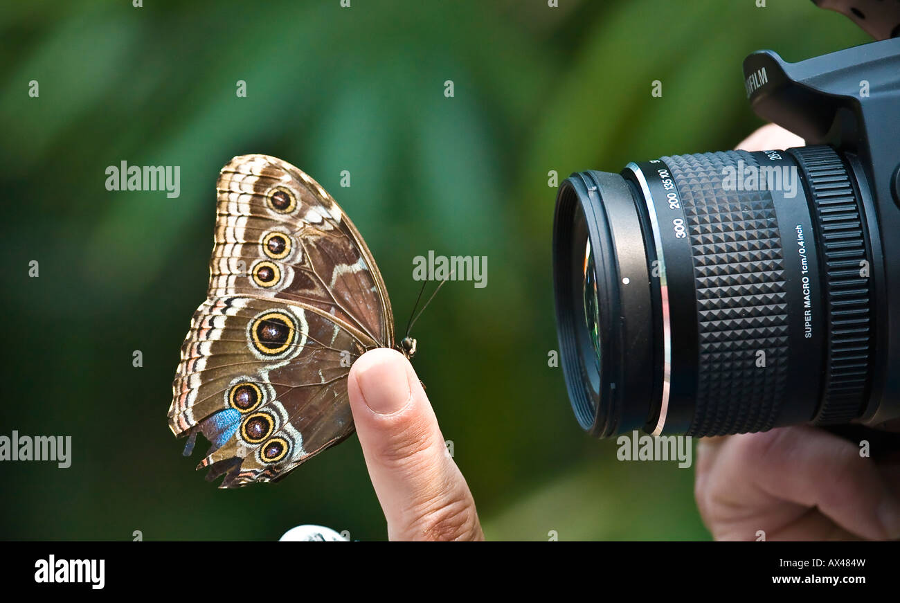 Man taking closeup (macro) photo of butterfly on finger at annual San