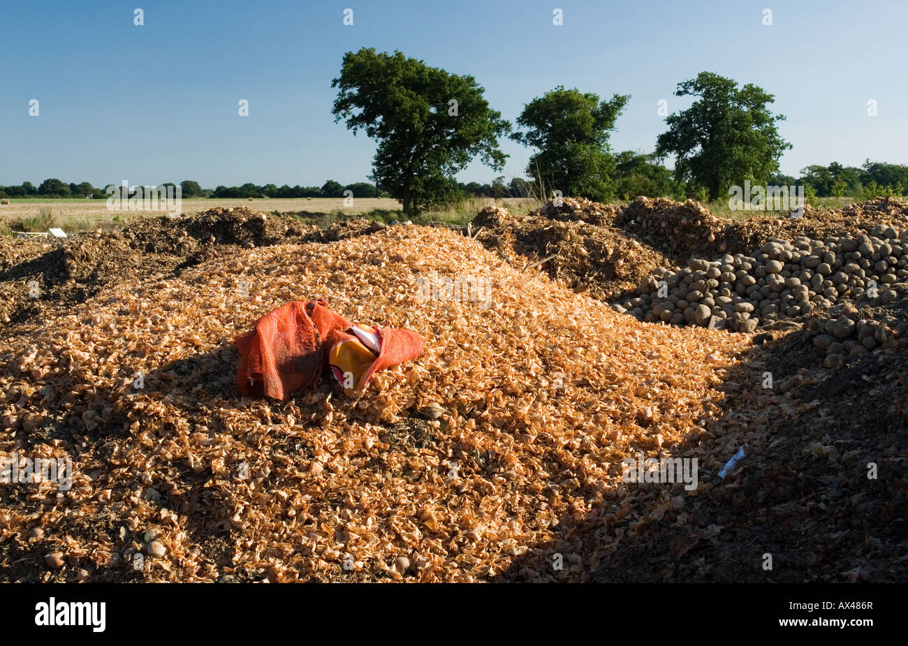 Food waste mountain uk hi-res stock photography and images - Alamy