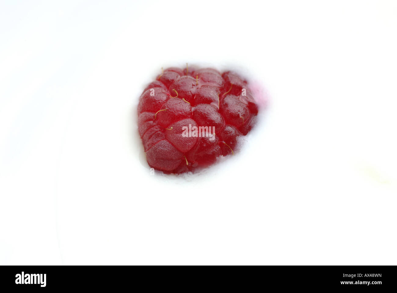 Raspberry floating in yogurt Stock Photo - Alamy