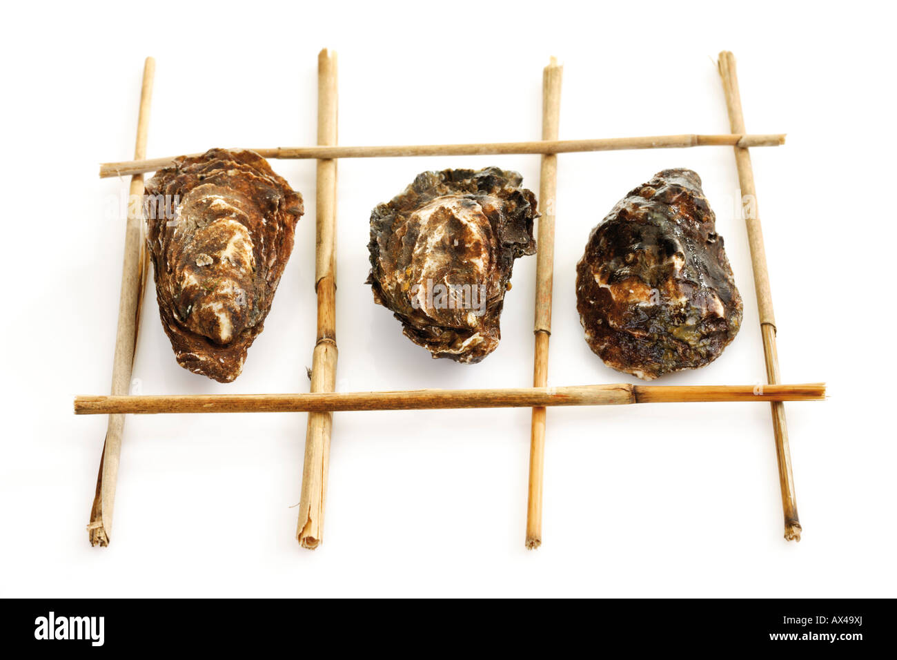Closed oysters, elevated view Stock Photo Alamy