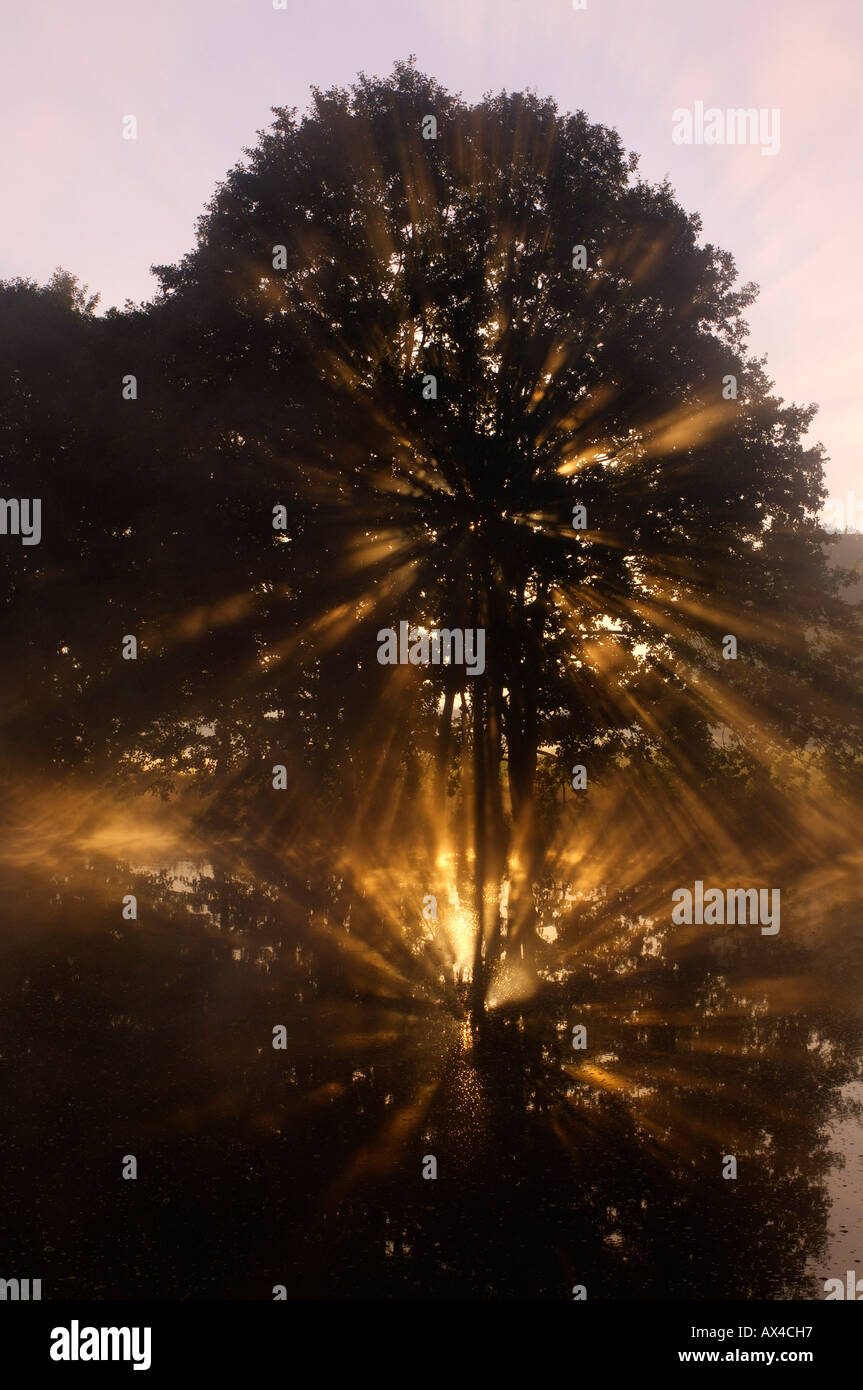 Sunrays sunbeam sun sunrise hi-res stock photography and images - Alamy