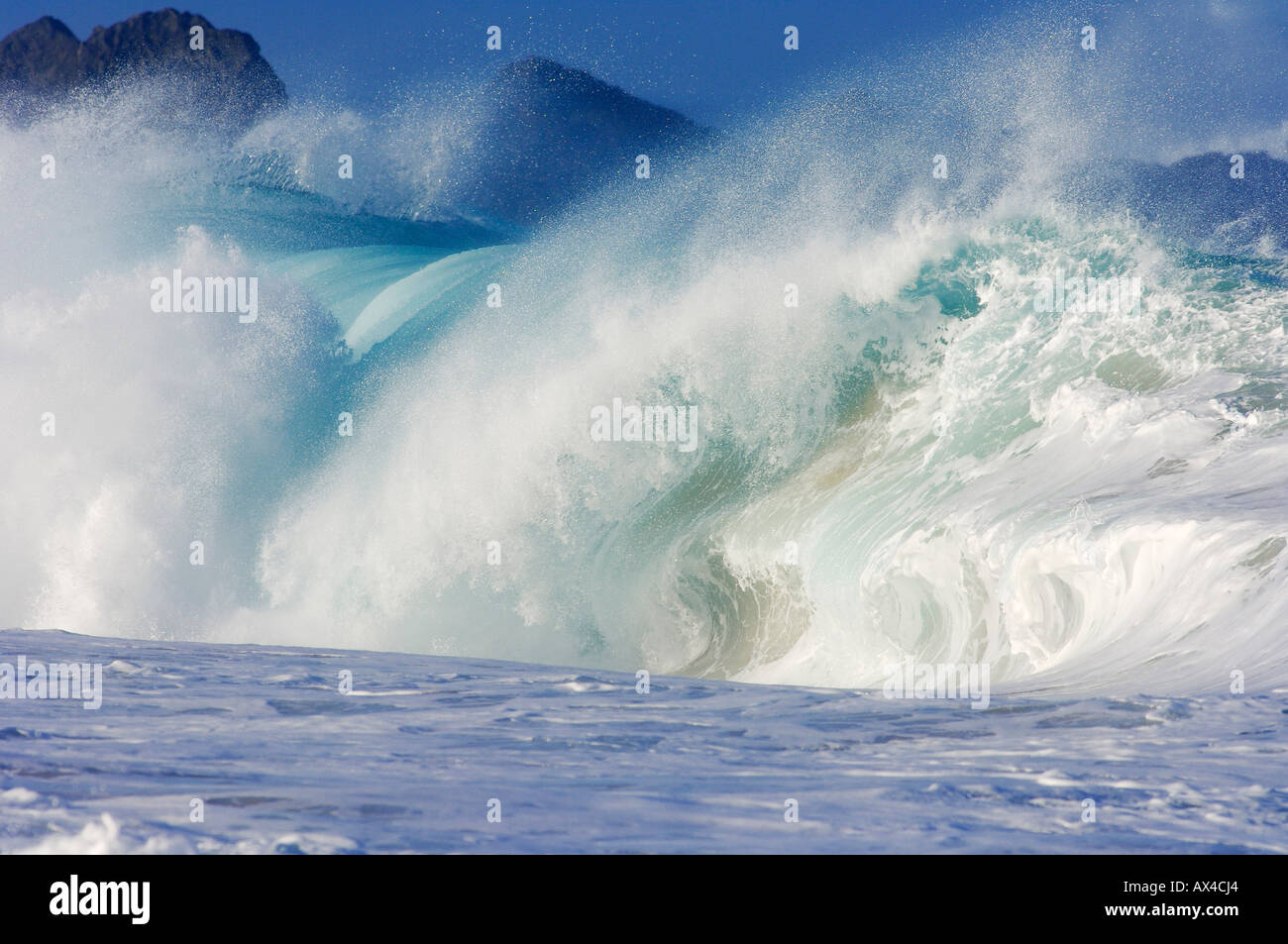 Tsunami north shore oahu
