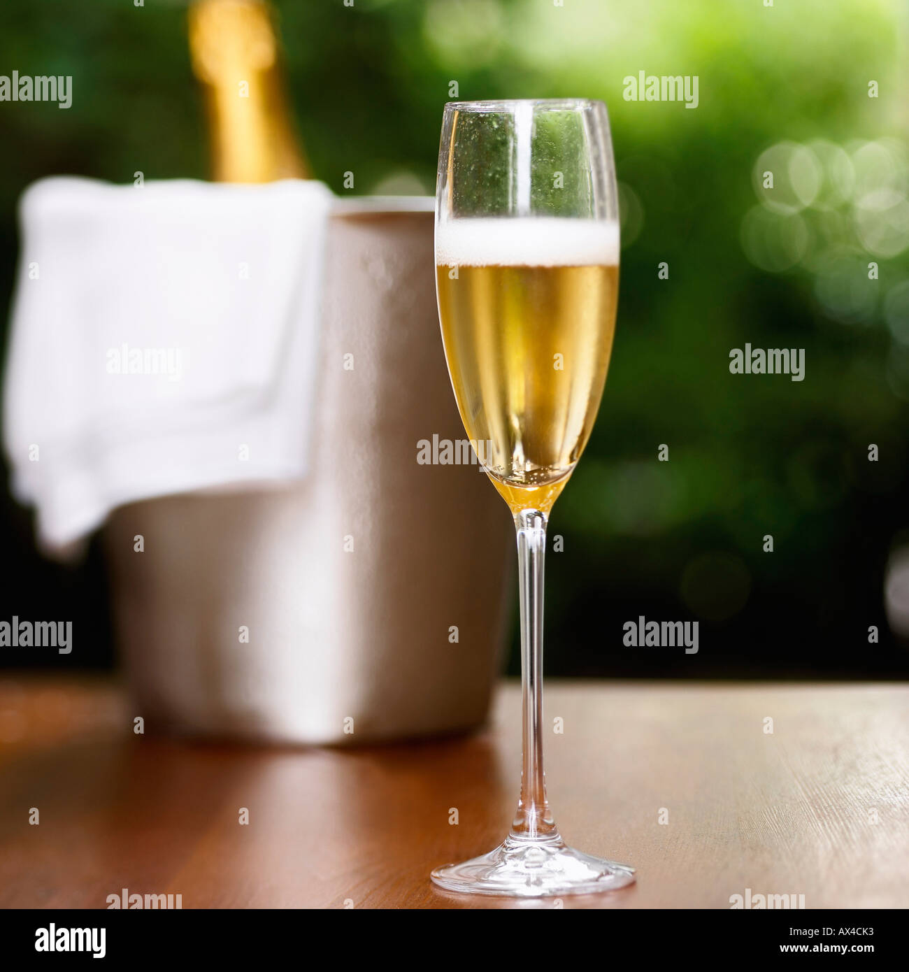 Champagne in Champagne Flute Stock Photo Alamy
