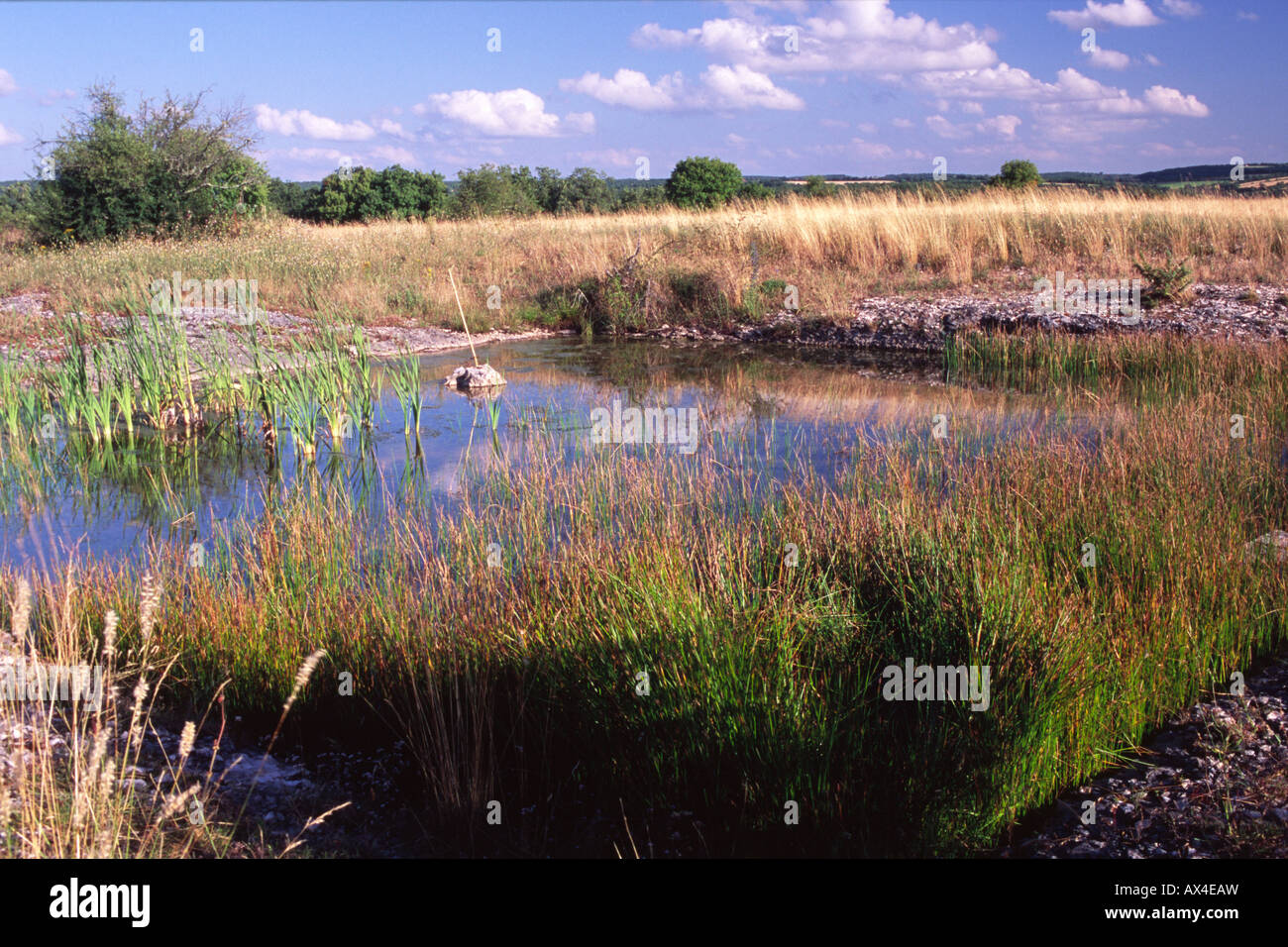 The Lac du Poulogne, a seasonal water body on the Causse de Gramat,  Lot region, France. Stock Photo