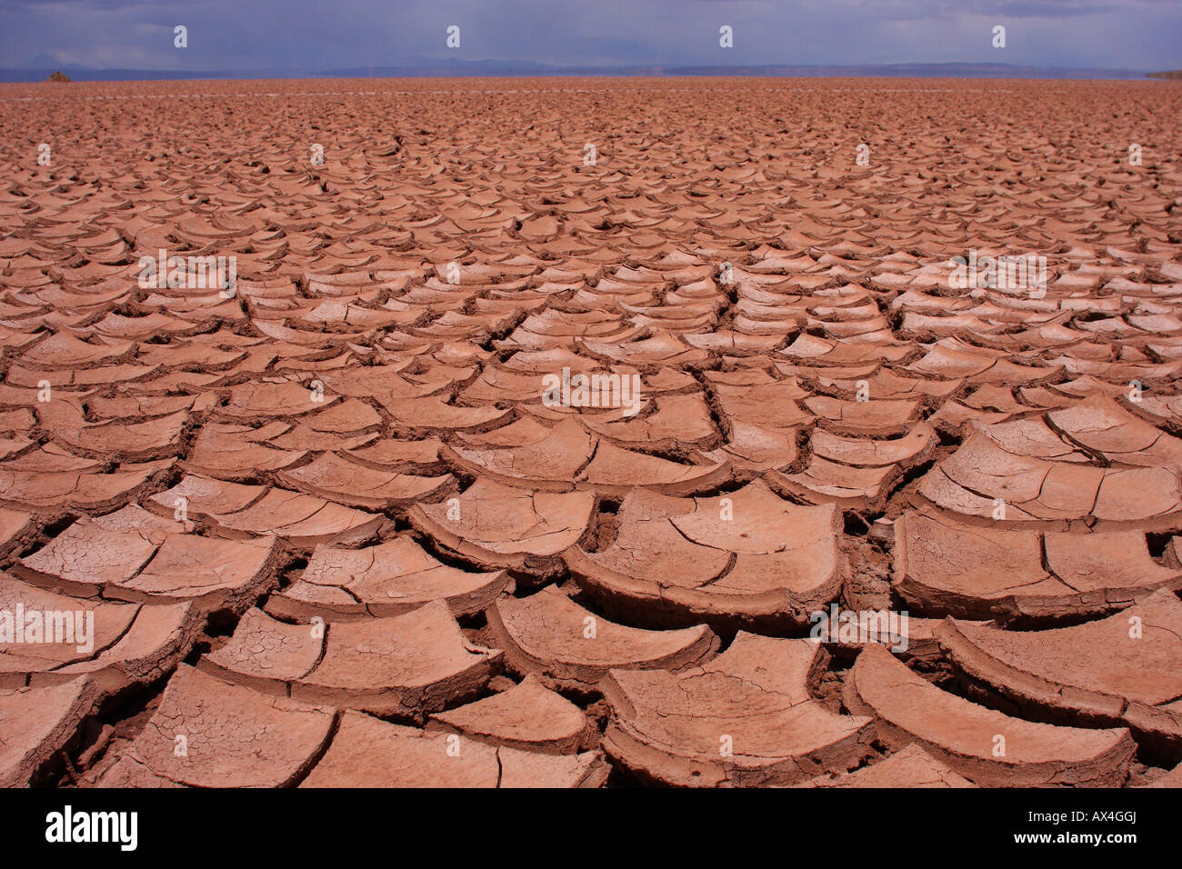 A huge expanse of cracked, dry, mud and soil on Bolivia's Altiplano. Stock Photo
