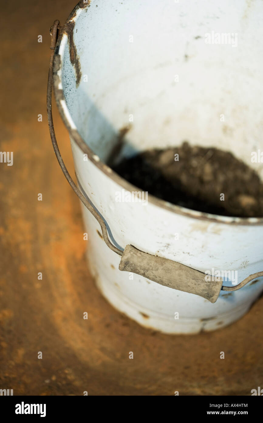 Old tin bucket with soil Stock Photo Alamy