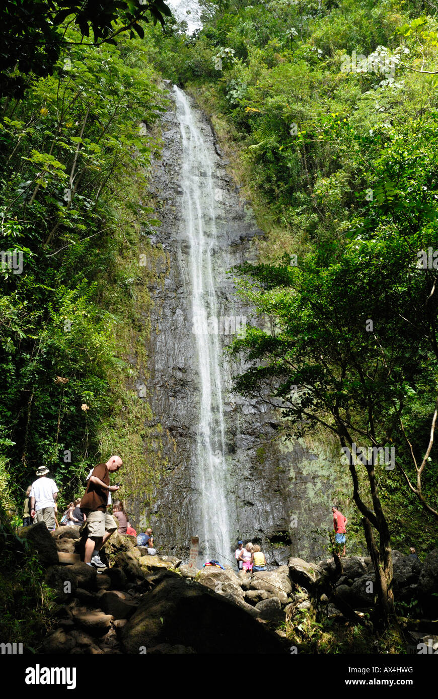 Manoa Falls O'ahu Honolulu Hawaii Stock Photo