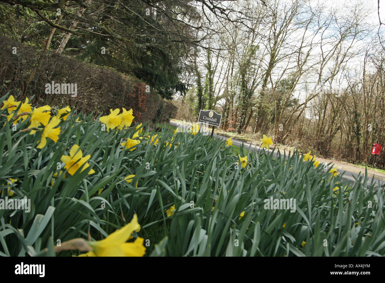 Crondall Village Sign Hampshire With Spring Daffodils Stock Photo