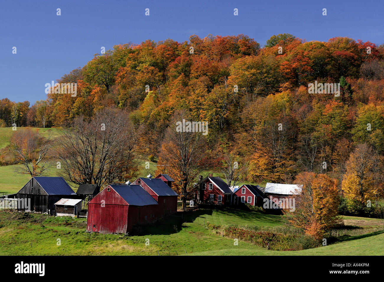 Autumn and fall foliage at the Jenne Farm in Reading Vermont Stock Photo Alamy