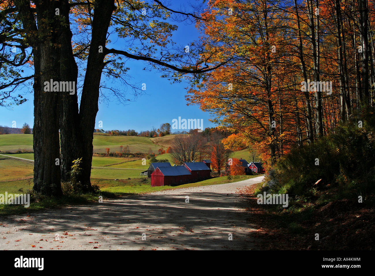 Autumn and fall foliage at the Jenne Farm in Reading Vermont Stock Photo Alamy