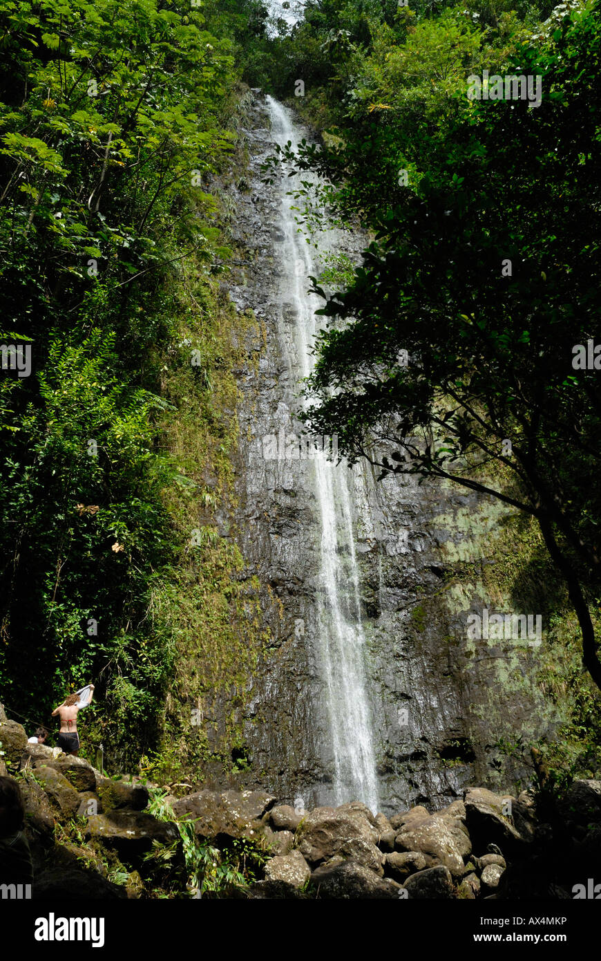 Manoa Falls O'ahu Hawaii Stock Photo