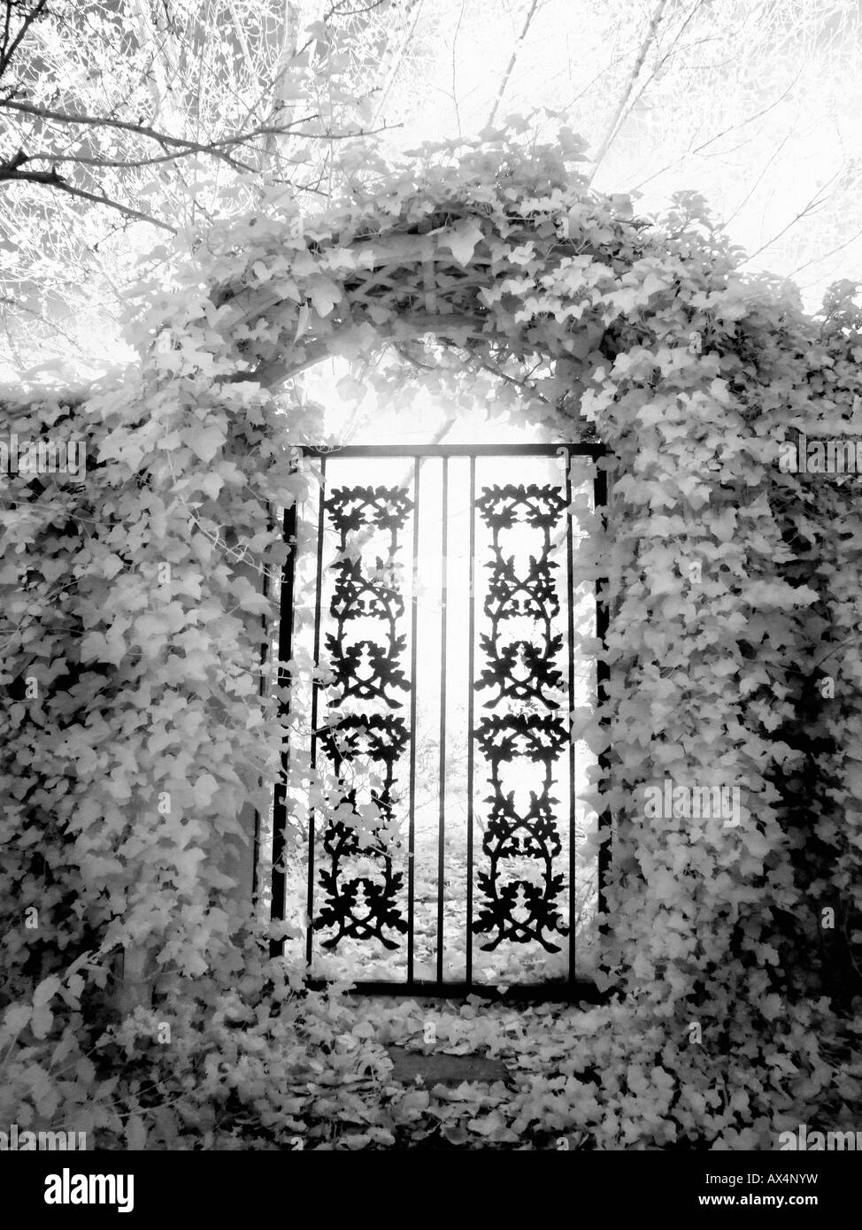 Entrance gate in foliage photographed in infrared Stock Photo