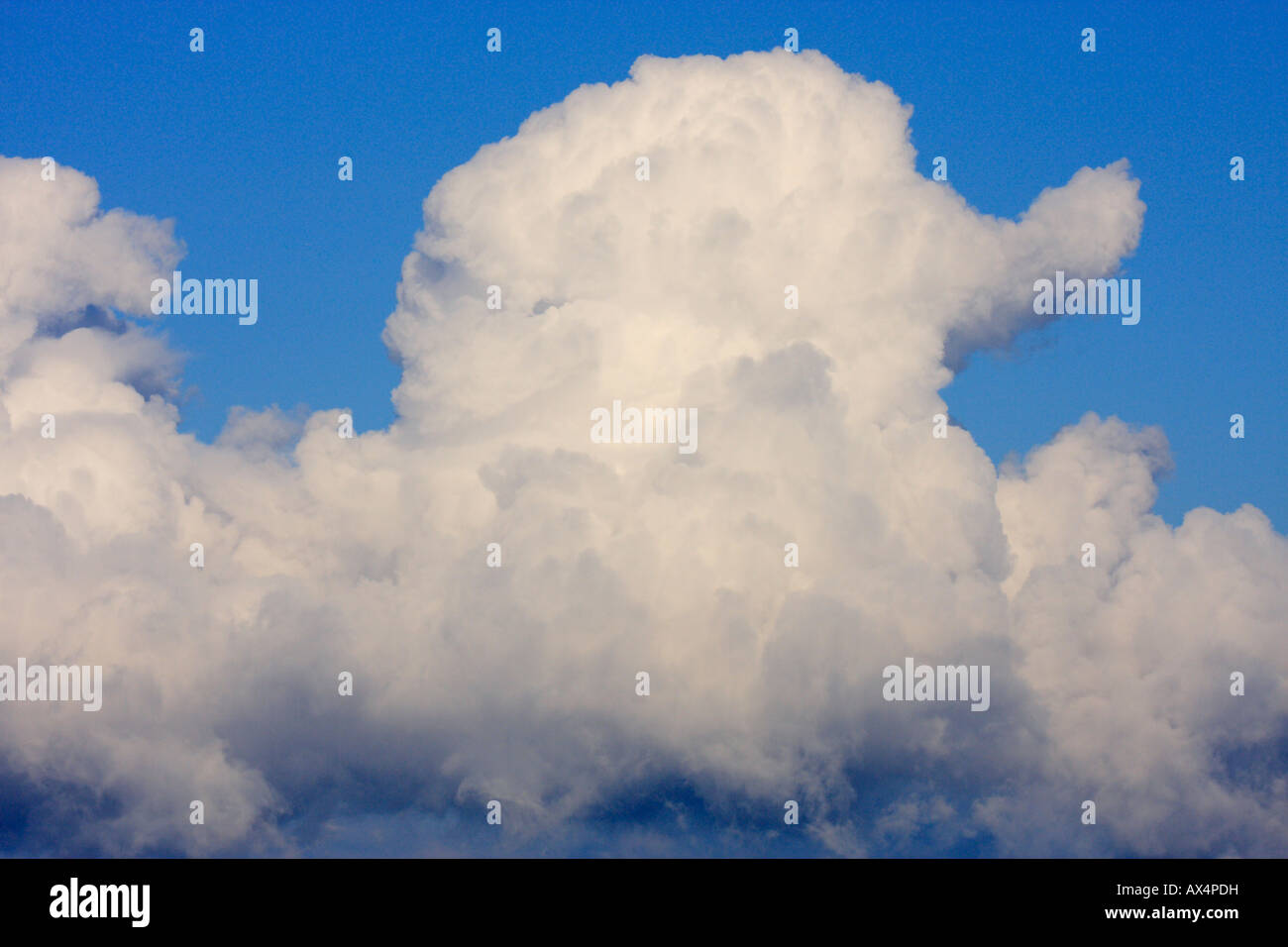 Towering cumulus clouds on windy late Westcoast day Victoria British Columbia Canada Stock Photo