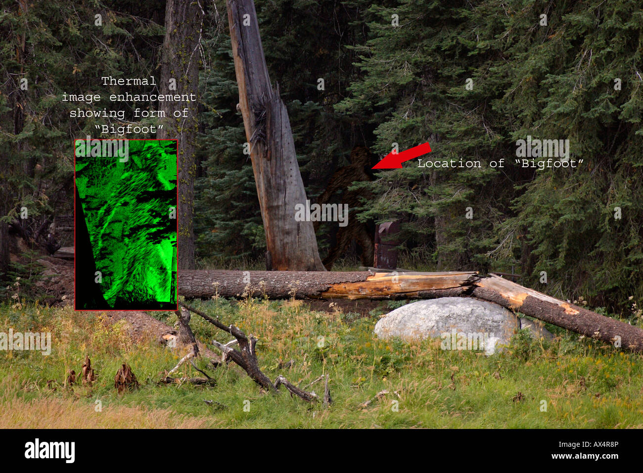 'Bigfoot' (enhanced) Stock Photo