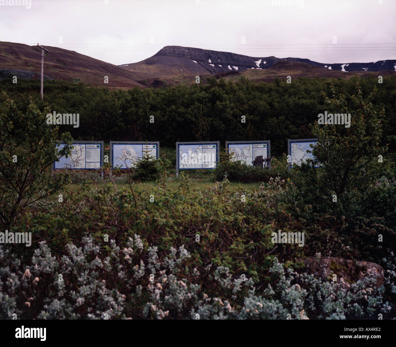 Maps in the woods Stock Photo - Alamy