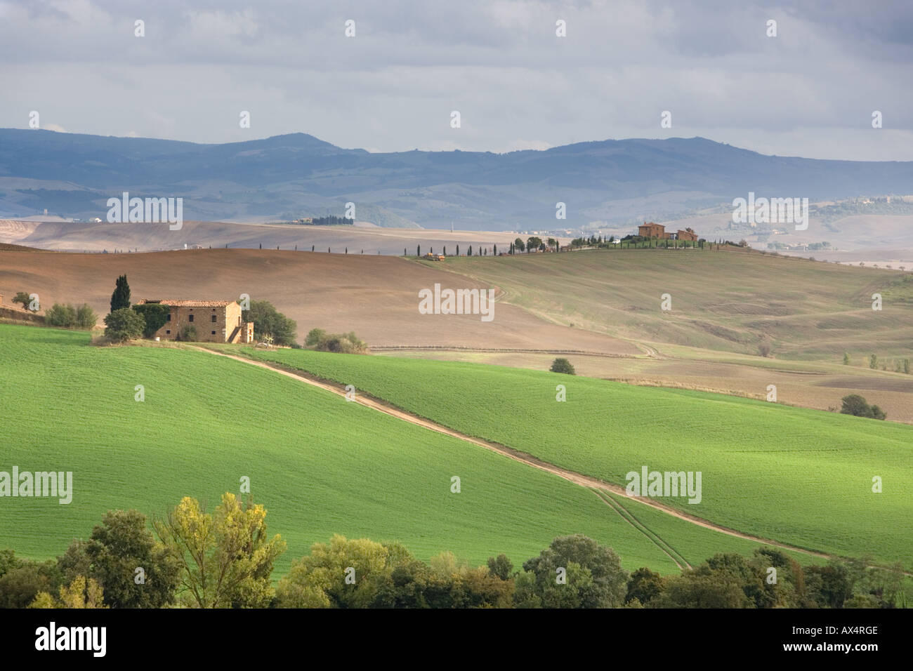 House and road set in the landscape of southern Tuscany near Pienza ...