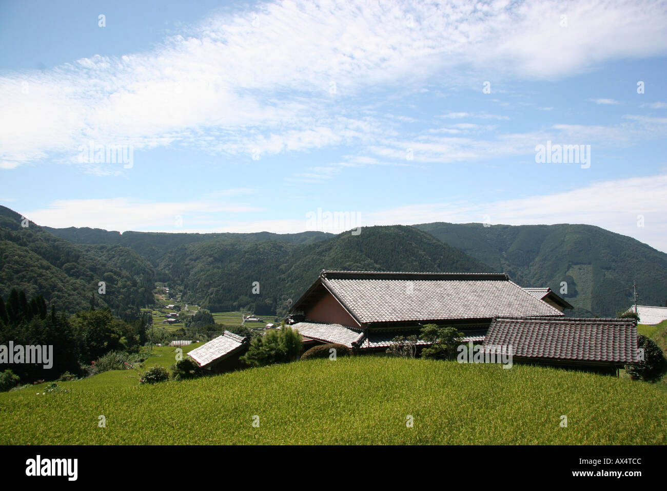 Rice field and mountain landscape, Japan Stock Photo