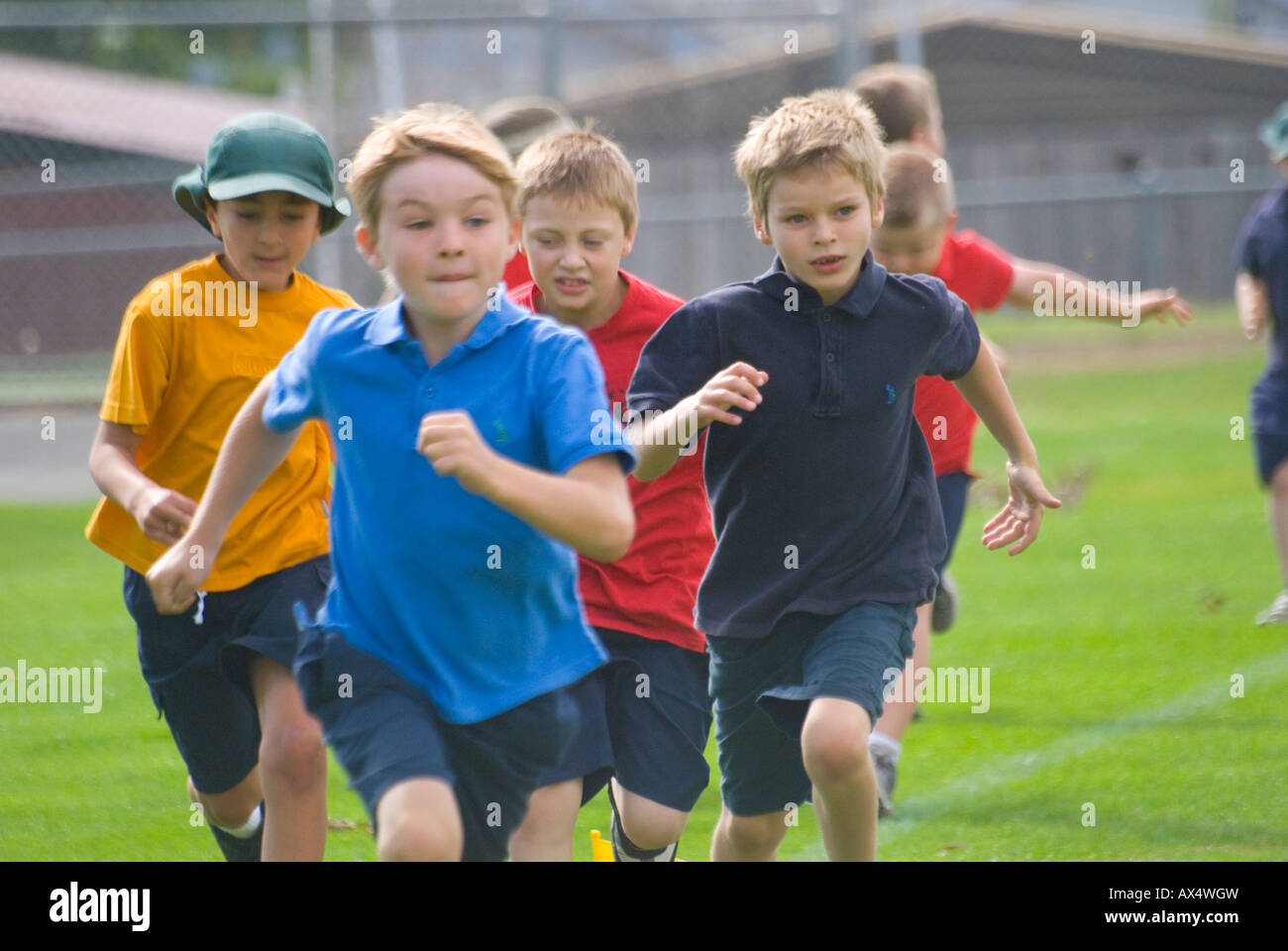 Boys competing in primary school sports in Tasmania Australia Stock Photo