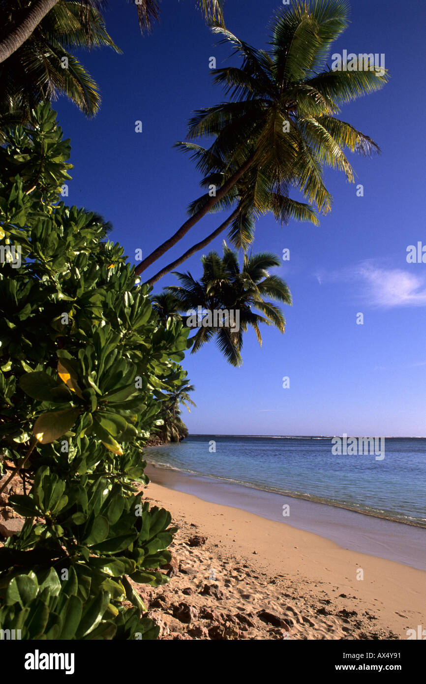 Beautiful Beach and Palms Nadi Bay Area in the Fiji Islands Stock Photo ...