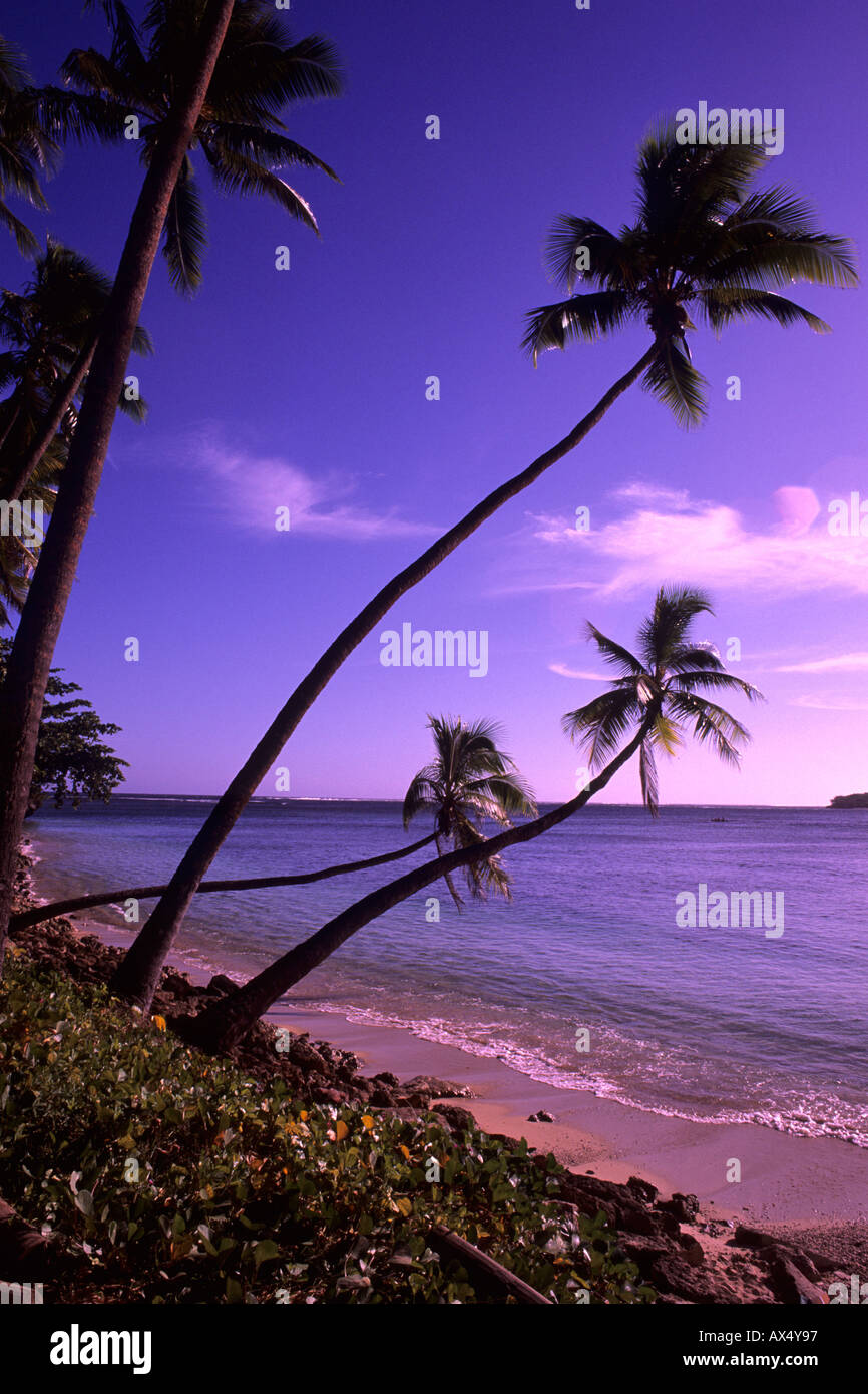 Beautiful Beach and Palms Nadi Bay Area in the Fiji Islands Stock Photo ...