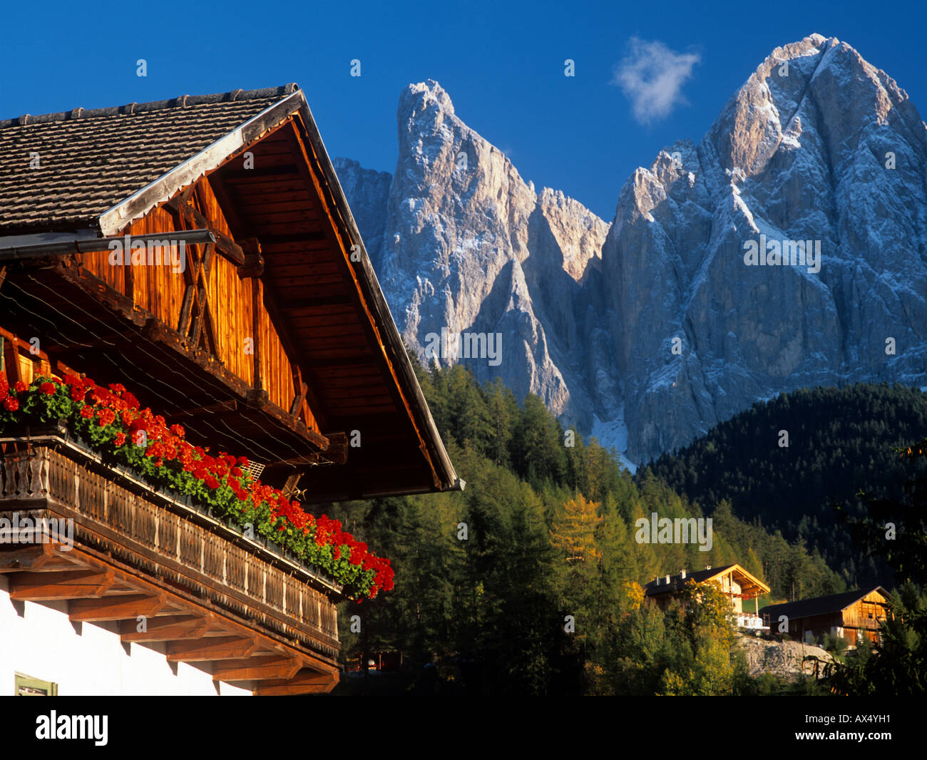 Typical alpine house with red geranium balcony decoration Stock Photo ...
