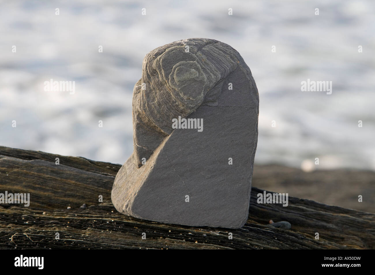 natural bird shaped rock sculpture norwegian beach troms region Stock ...