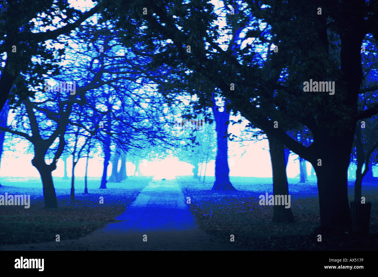 Hyde Park London SB Stock Photo Alamy