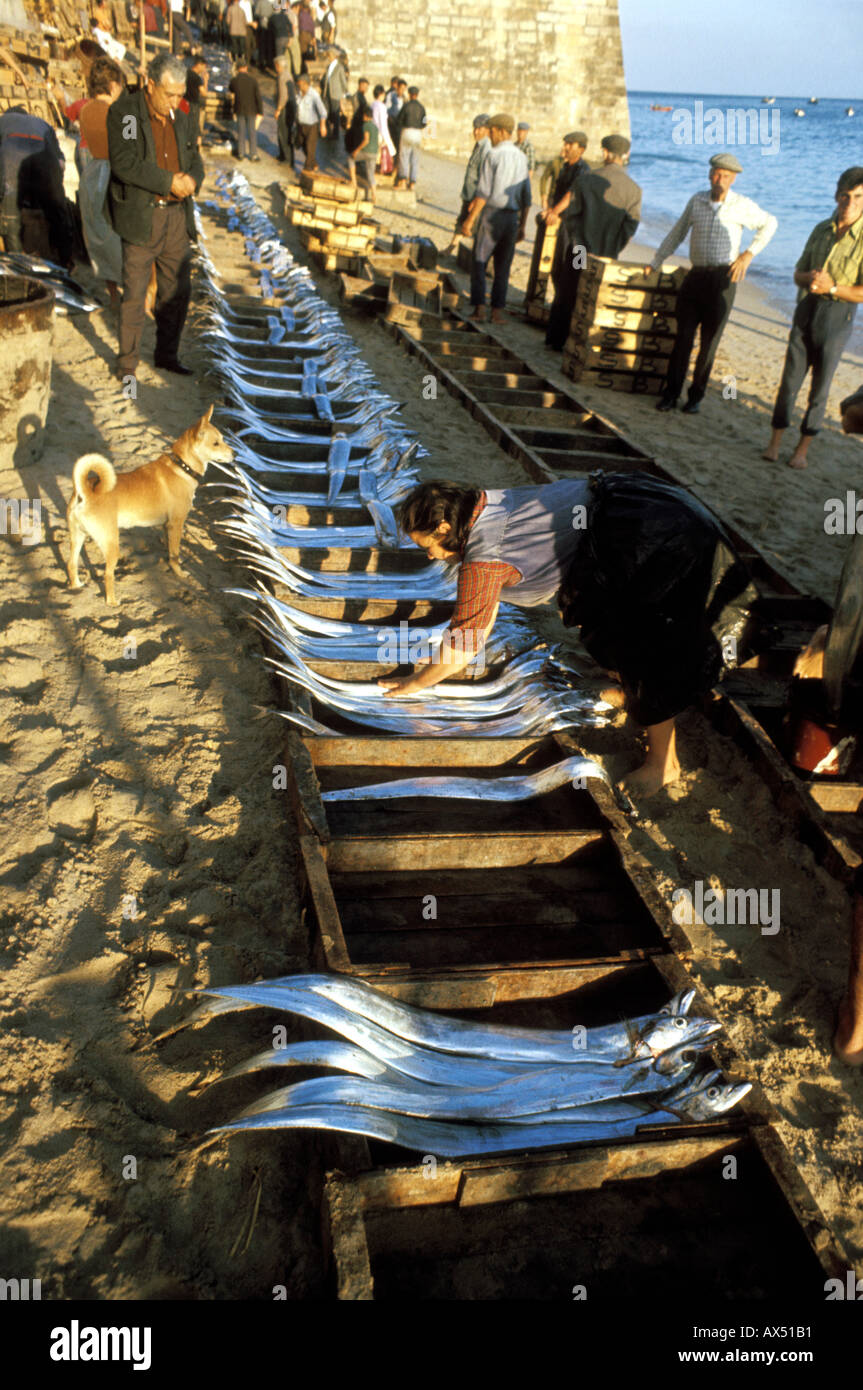 Fish at the morning beach market in Sesimbra Portugal 1968 Stock Photo