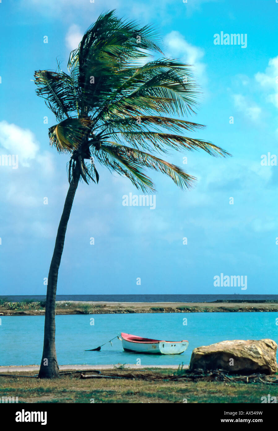 Palm tree at Caracas-bay with Fishing Boat in Lagoon, Curacao Stock Photo