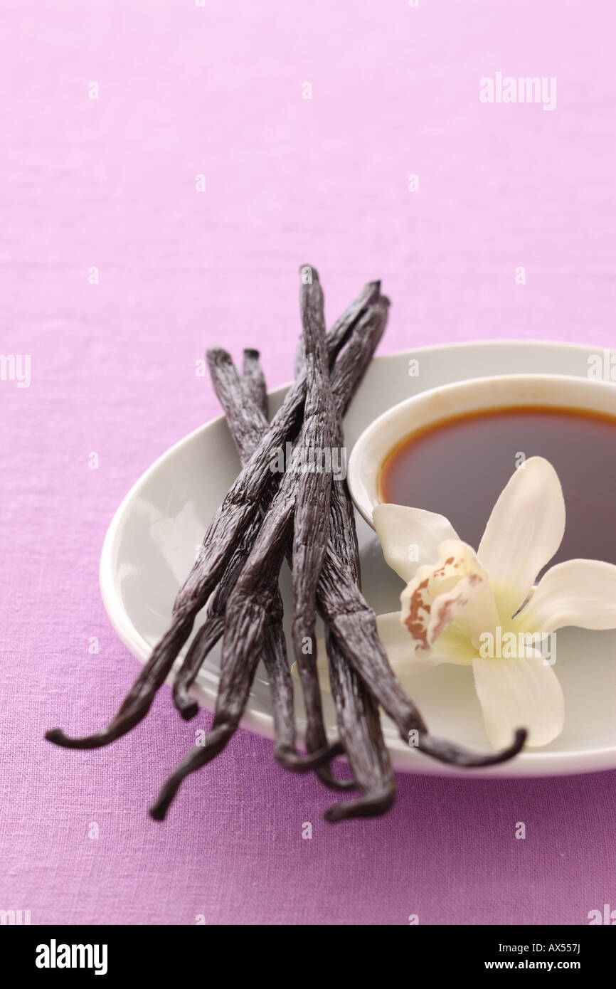 Vanilla Beans Vanilla Extract and Orchid Stock Photo Alamy
