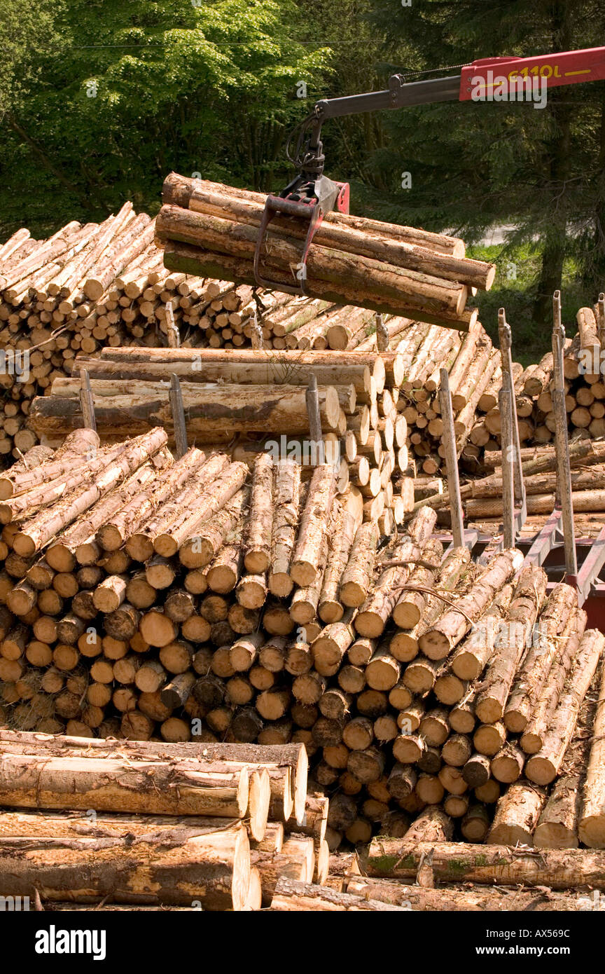 unloading timber Timber Harvesting Carmarthenshire Wales Stock Photo ...