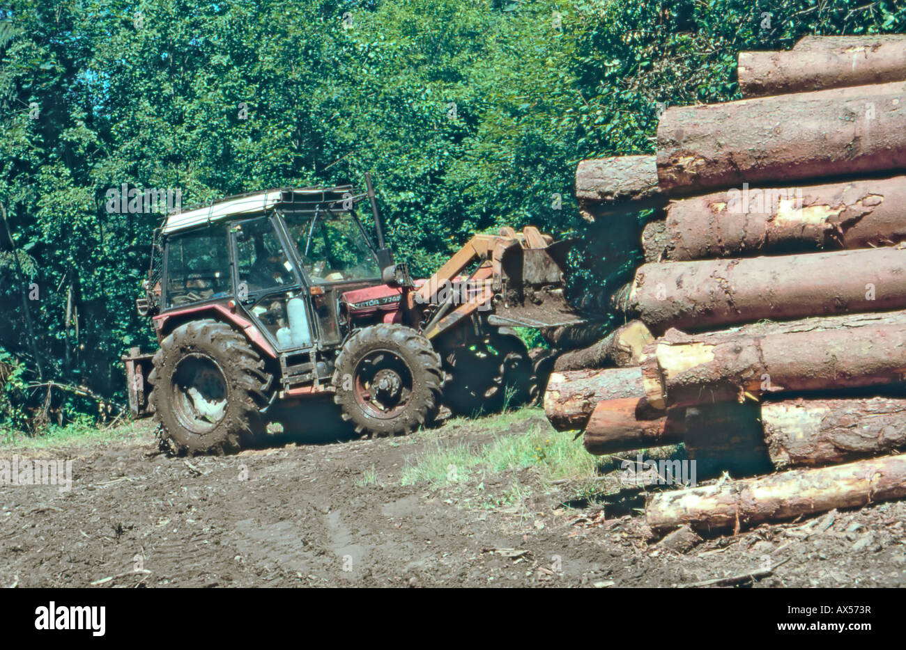 Wood logging in South Bohemia, Czech Republic Stock Photo Alamy