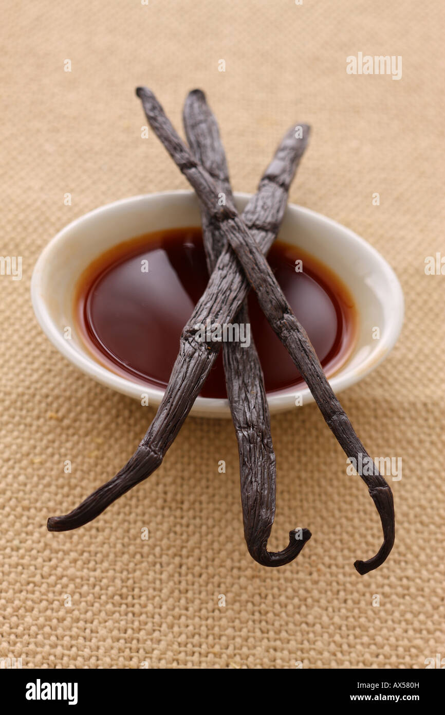 Vanilla Extract and Dried Vanilla Beans Stock Photo Alamy