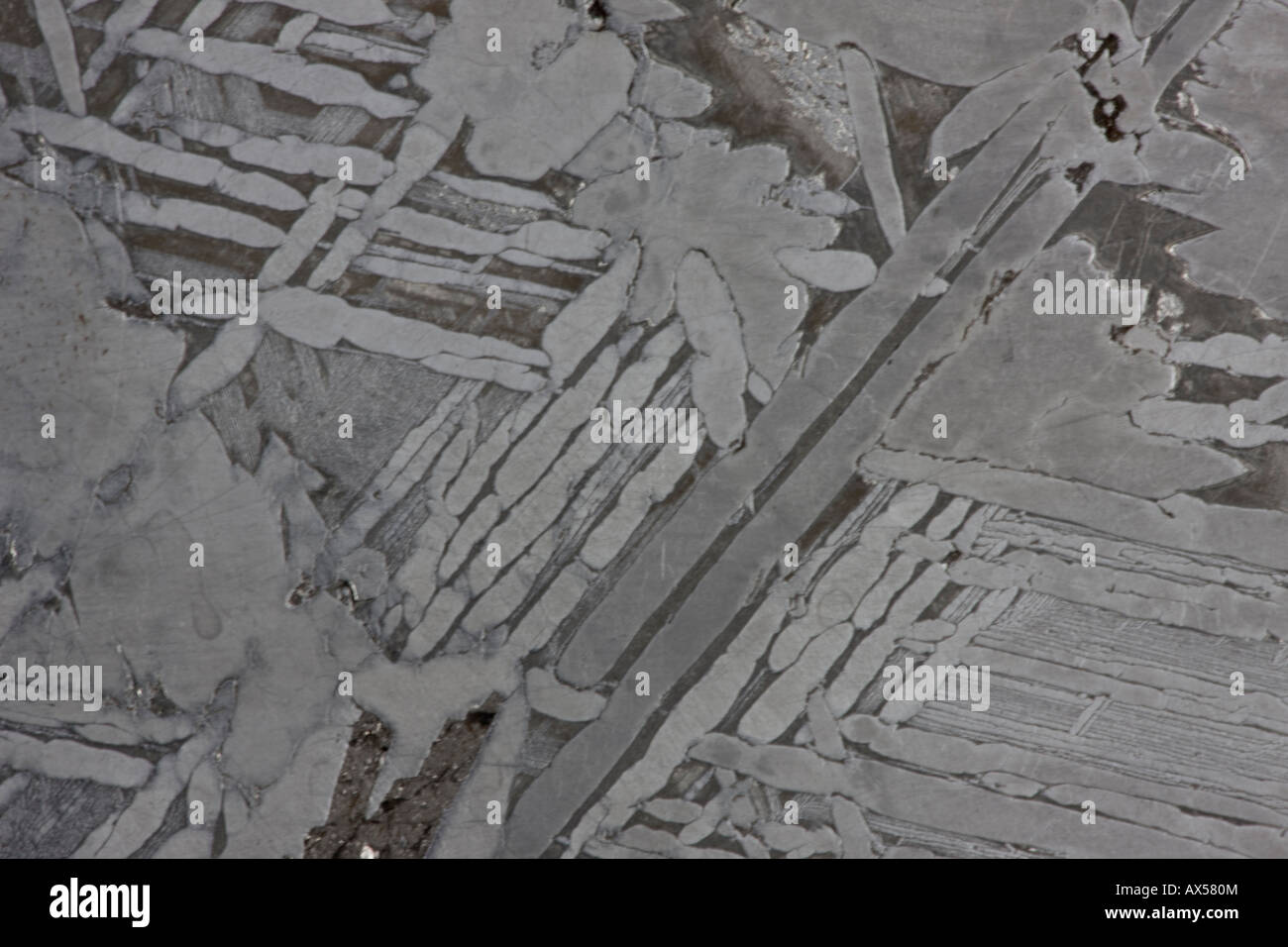 Seymchan Meteorite Cross-section - St Petersburg Paleontological Lab Russia, Widmanstatten Patterns, iron Stock Photo