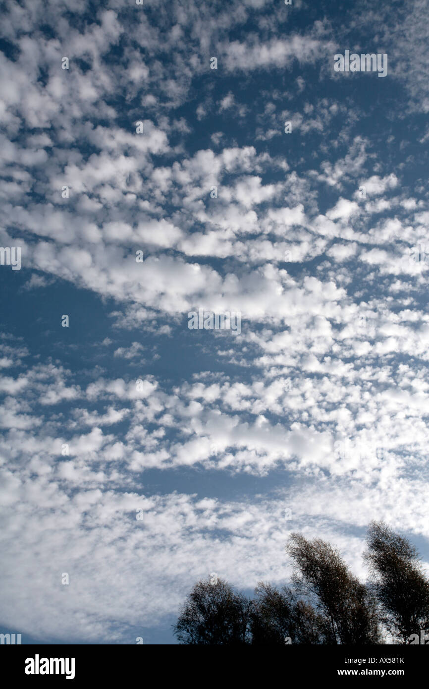 Altocumulus and Cirrocumulus Clouds Stock Photo - Alamy