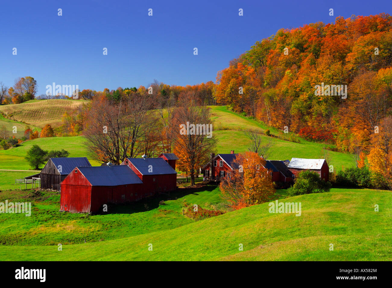 Autumn And Fall Foliage At The Jenne Farm In Reading Vermont Stock Photo Alamy