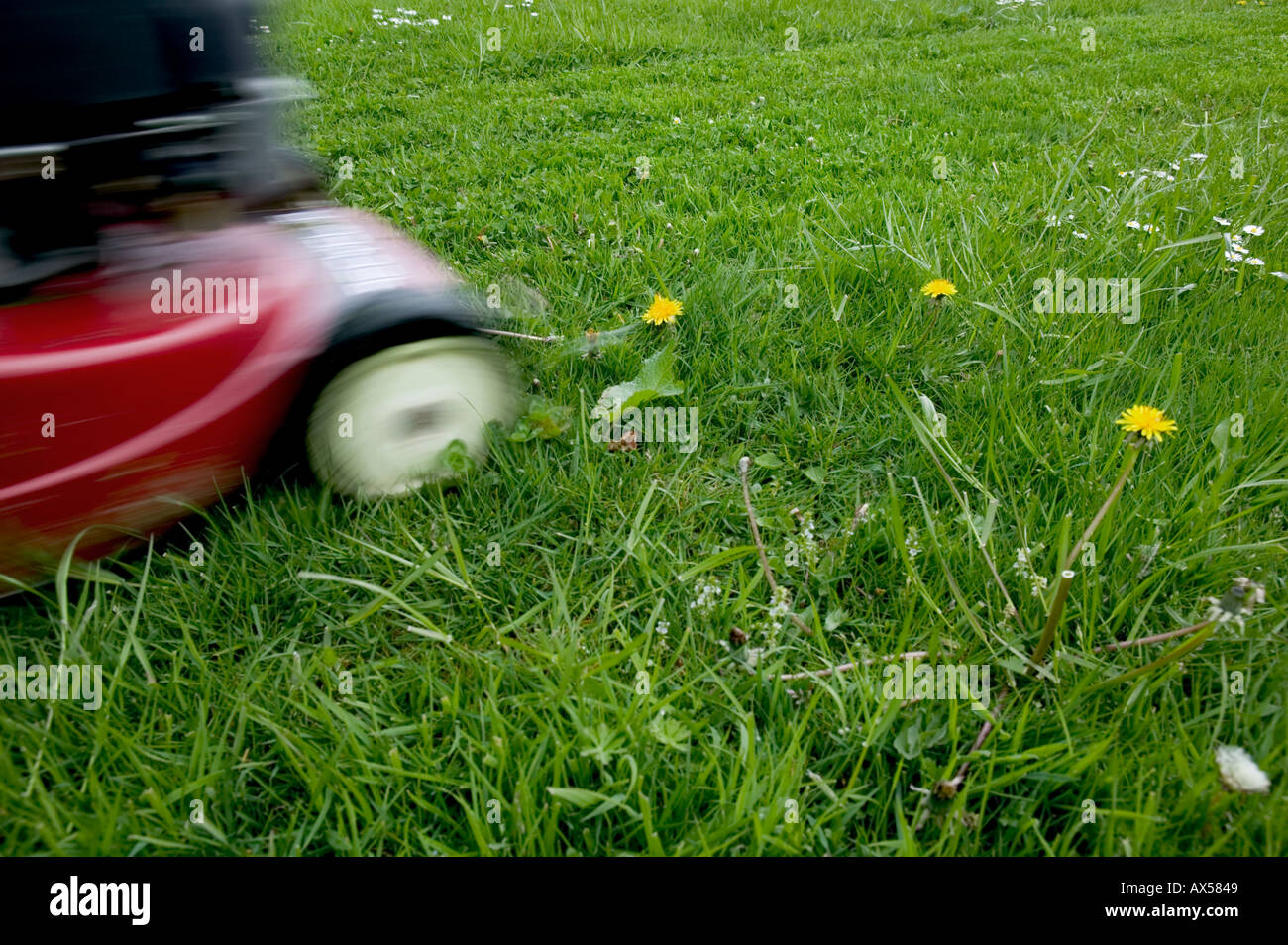 Cutting the grass Stock Photo Alamy
