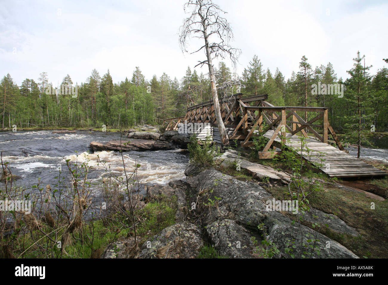 Wooden brigde over the Mudusjakk, Muddus National Park, Sweden Stock Photo