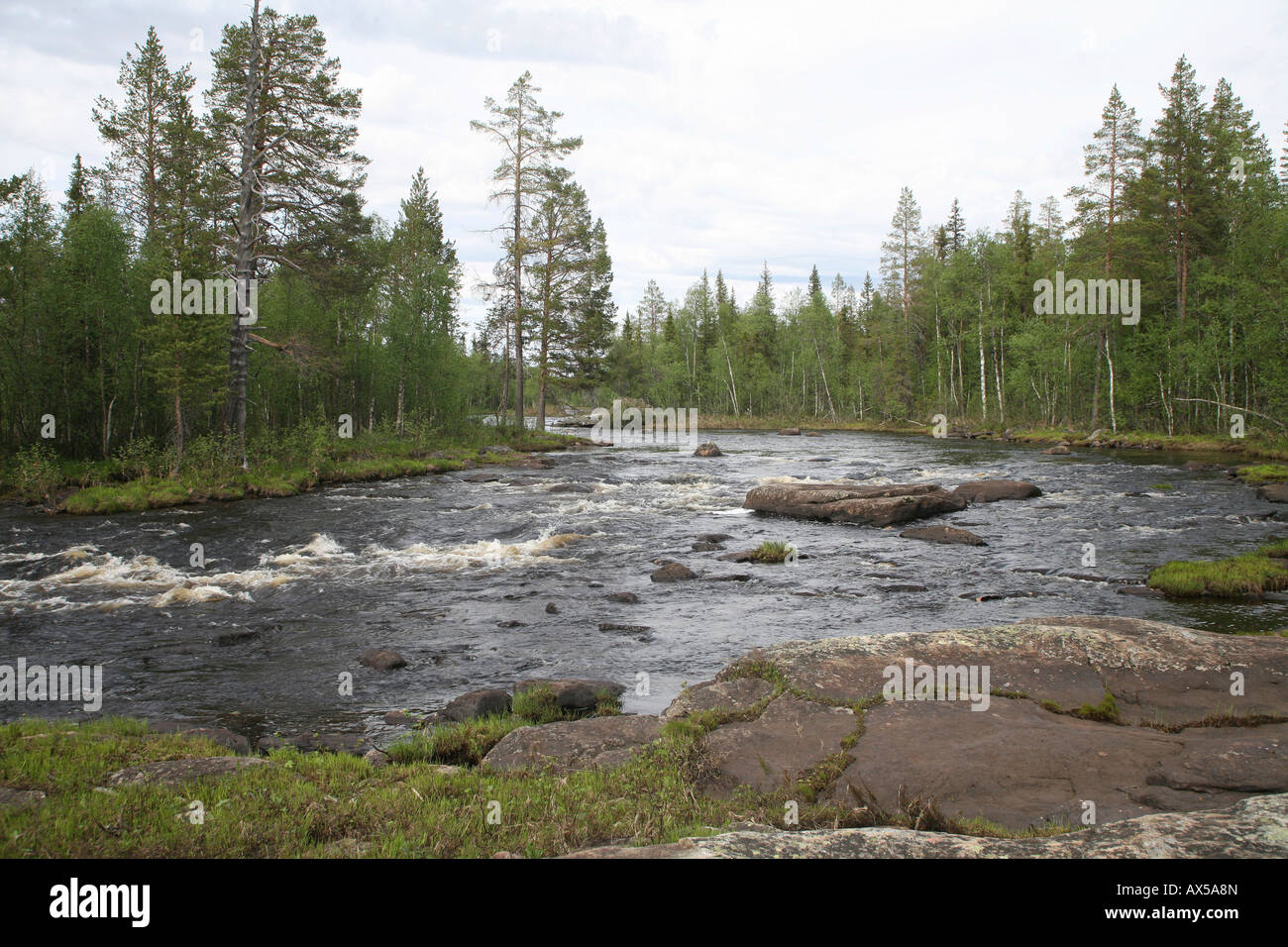 Mudusjakk River, Muddus National Park, Sweden Stock Photo