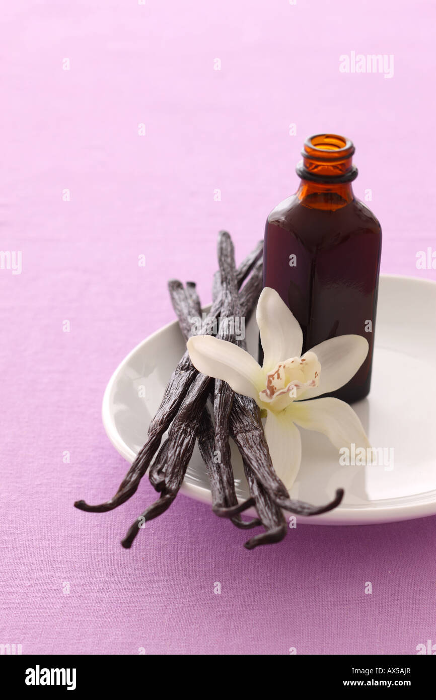 Vanilla Beans Vanilla Extract and Orchid Stock Photo Alamy