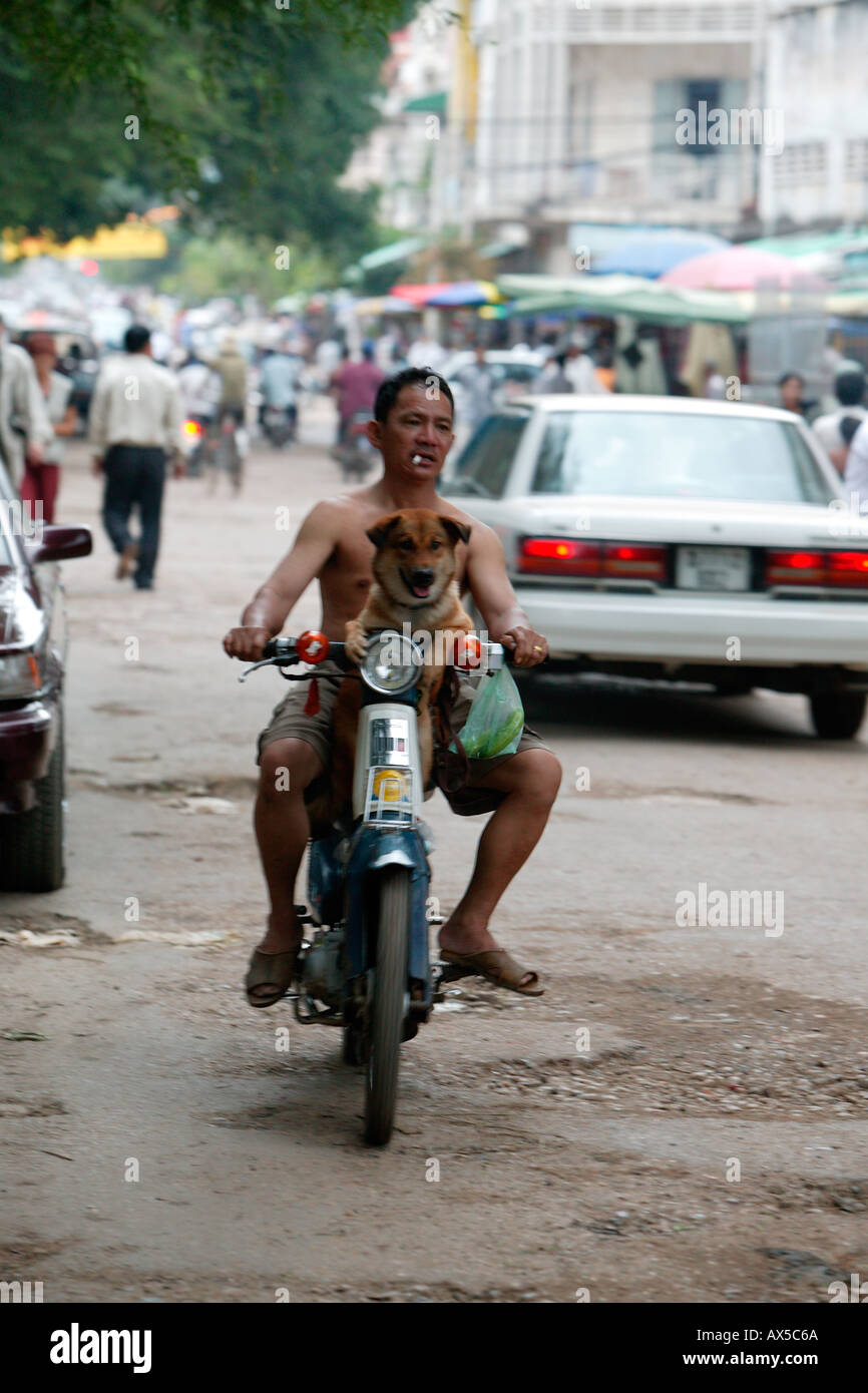 Man with dog on motorcycle Phnom Penh Cambodia Asia Stock Photo