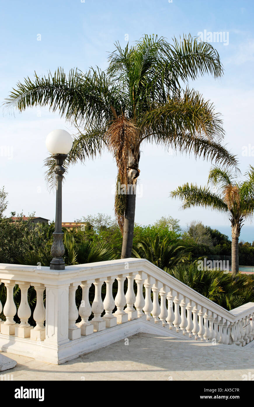 Palm garden south coast Sicily Italy Stock Photo - Alamy