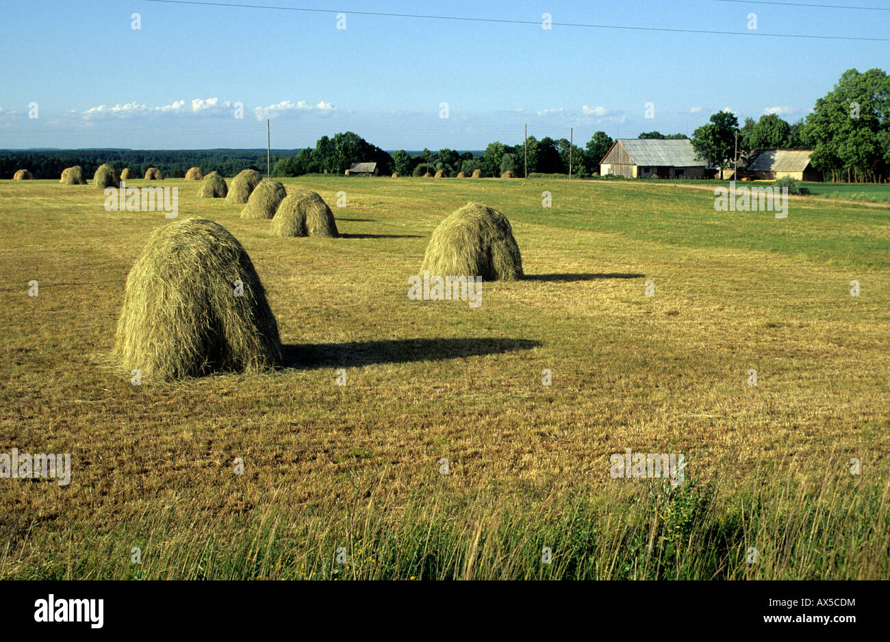 Landscape of the Livonian Switzerland, Gauja National Park, Vecpiebalgas, Latvia, Baltic States Stock Photo