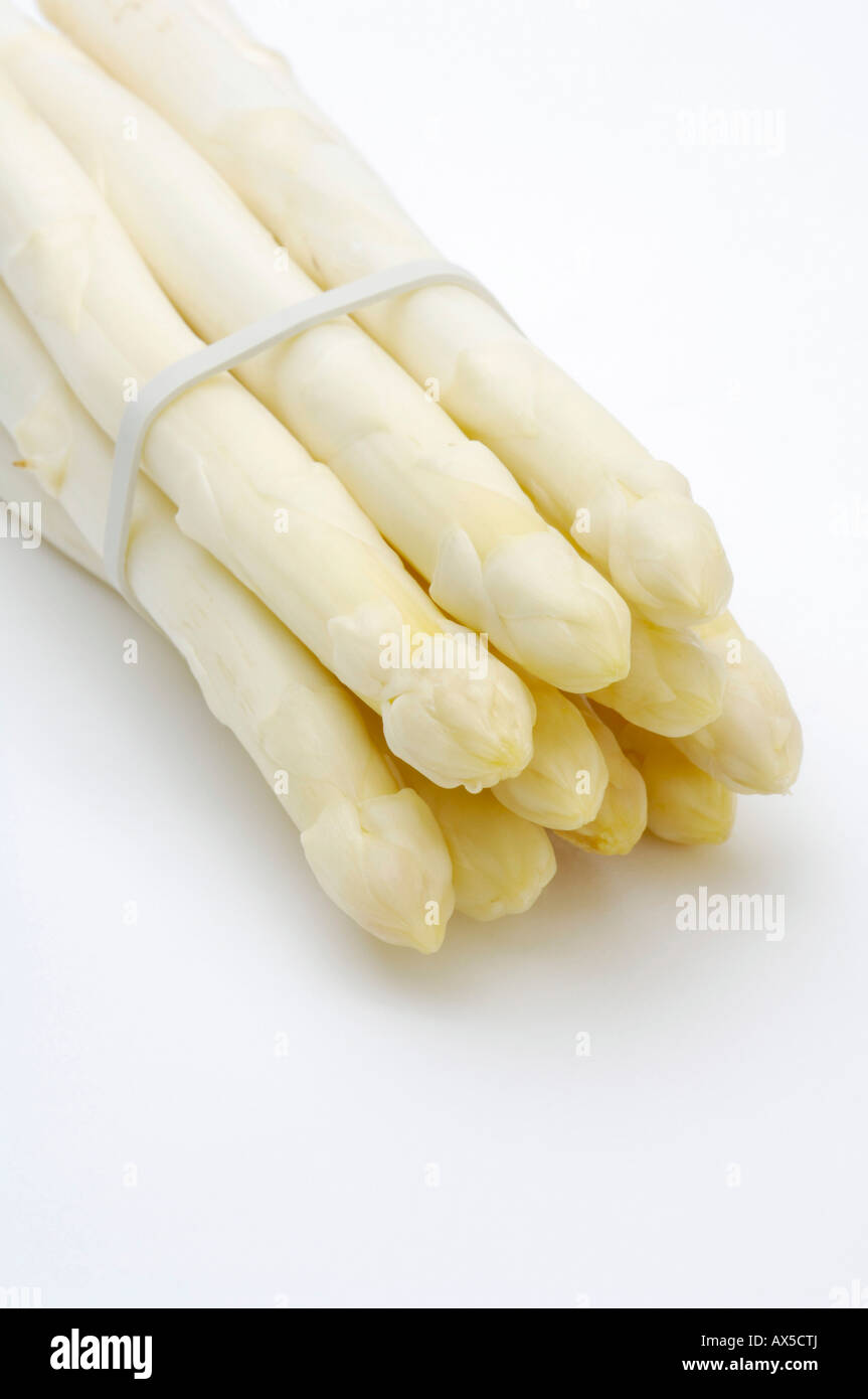 Bunch of White Asparagus (Asparagus officinalis) Stock Photo